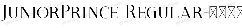JuniorPrince Regular字体转换
